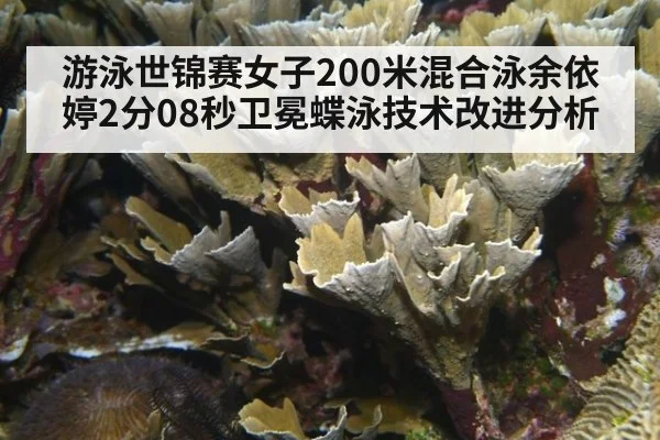 游泳世锦赛女子200米混合泳余依婷2分08秒卫冕蝶泳技术改进分析